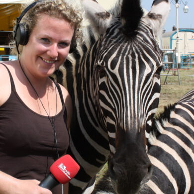 Silvia Ochlast - Zirkus